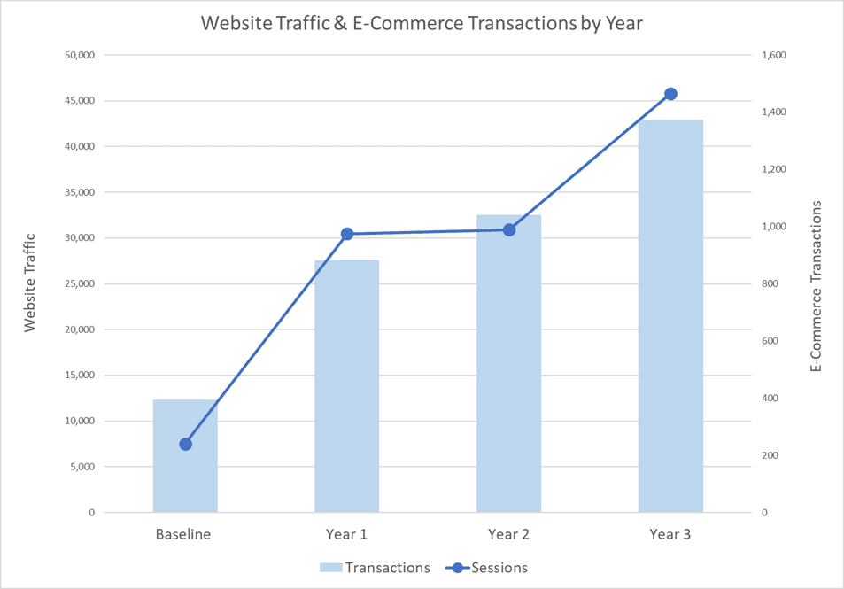 Ceiling Outfitters eCommerce website traffic results